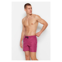 Trendyol Plum Men's Basic Standard Length Swimwear with Marine Shorts