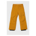 Dětské lyžařské kalhoty Quiksilver ESTATE YTH PT SNPT žlutá barva