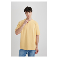 DEFACTO Oversize Fit Crew Neck Heavy Fabric Short Sleeve Basic T-Shirt