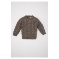 DEFACTO Baby Boy Crew Neck Sweater