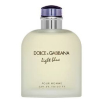 Dolce & Gabbana Light Blue Pour Homme toaletní voda pro muže 200 ml
