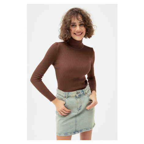 Lafaba Women's Brown Turtleneck Knitwear Sweater