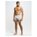 Big Star Man's Boxer Shorts Underwear 200033 Grey 901