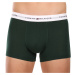 3PACK pánské boxerky Tommy Hilfiger vícebarevné (UM0UM02761 0XY)