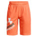 Under Armour UA Prototype 2.0 Logo Shorts J 1361817-866 - orange