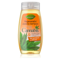 Bione Cosmetics Cannabis regenerační šampon 260 ml