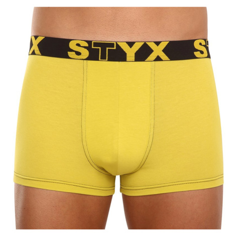 Pánské boxerky Styx sportovní guma zelenožluté (G1065)