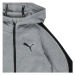 Puma EVOSTRIPE CORE FZ HOODIE Šedá