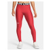 Dámské legíny Under Armour UA HG Authentics Legging