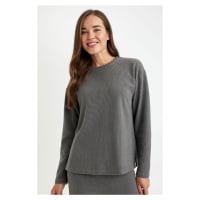 DEFACTO Crew Neck Thessaloniki Fabric Basic Plain Long Sleeve T-Shirt