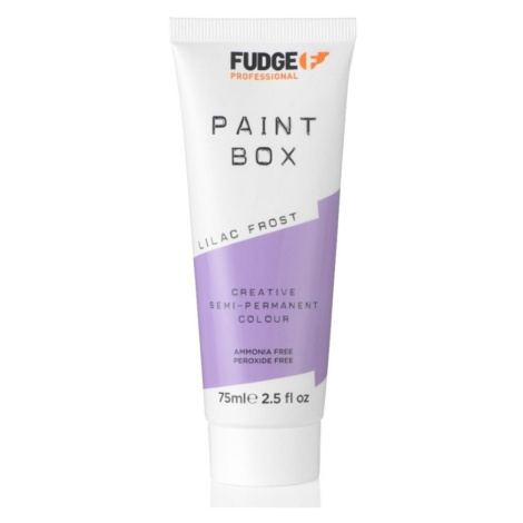 Fudge - Paintbox Turquoise Days Barvy na vlasy 75 ml Šedá unisex