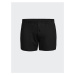 LC Waikiki Comfortable Fit Men's Boxer, Combed Combed Cotton