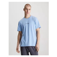 Spodní prádlo Pánská trička CREW NECK 000NM2170ECBE - Calvin Klein