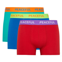 DEFACTO Regular Fit 3-Piece Boxer