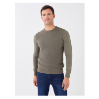 LC Waikiki Crew Neck Long Sleeve Men's Knitwear Sweater