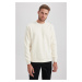 DEFACTO Regular Fit Crew Neck Plush Sweatshirt