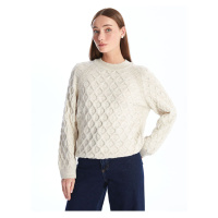 LC Waikiki LCW Crew Neck Self-Patterned Long Sleeve Women's Knitwear Sweater