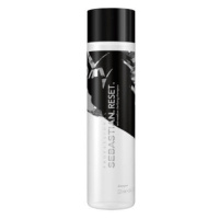 Sebastian Professional Čisticí šampon pro všechny typy vlasů Reset (Shampoo) 250 ml