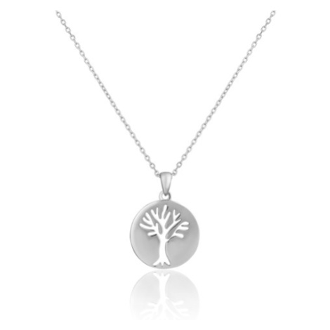 Dámský stříbrný náhrdelník strom života STNAH158F JVD