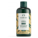 The Body Shop Šampon proti lupům Ginger (Anti-Dandruff Shampoo) 250 ml