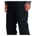 Spyder BOUNDARY Pánské lyžařské kalhoty, černá, velikost
