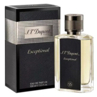 S.T. Dupont Exceptional - EDP 100 ml