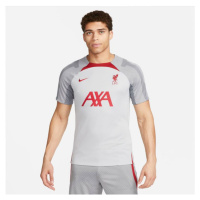 Pánské tričko Liverpool FC M DR4587 015 - Nike