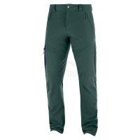 Kalhoty Salomon WAYFARER TAPERED PANT M - zelená