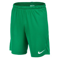 Nike DRI-FIT PARK 3 Pánské kraťasy, zelená, velikost
