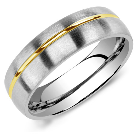 Snubní ocelový prsten pro muže PARIS Silvego
