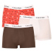 3PACK pánské boxerky Calvin Klein vícebarevné (U2664G-CA5)
