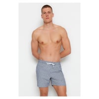 Trendyol Navy Blue Striped Seersucker Beach Shorts