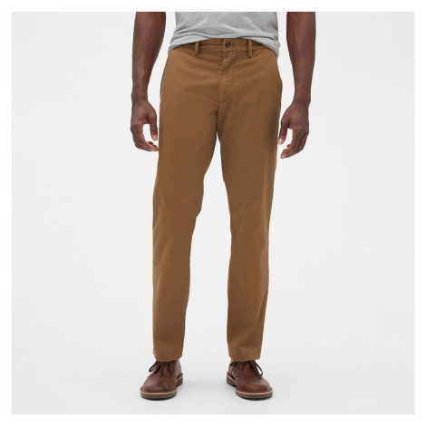 GAP Chino Straight Fit Pants Palomino Brown Global