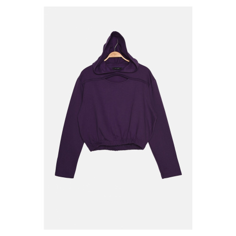 Trendyol Purple Hooded and Raised Basic Knitted Sweatshirt
