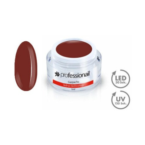 FAREBNÝ LED-UV GÉL 5ML PROFESSIONAIL™ Gazpacho