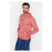 Trendyol Dried Rose Men's Regular/Regular Cut, Old-fashioned/Faded-effect Sweatshirt
