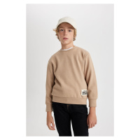 DEFACTO Boy's Crew Neck Sweatshirt