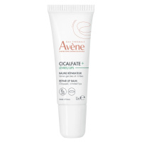 Avène Cicalfate+ Obnovující balzám na rty 10 ml