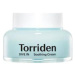 TORRIDEN - DIVE-IN LOW MOLECULAR HYALURONIC ACID SOOTHING CREAM -Zklidňující a hydratační pleťov