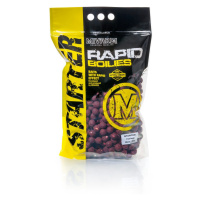 Mivardi Rapid Boilies Starter Fruit Bomb 3,5kg - 20mm