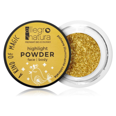 Allegro Natura A Kind of Magic rozjasňující pudr na obličej a oči Starry Gold 1,5 g