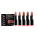 Makeup Revolution PRO Lipstick Collection Matte Nude sada rtěnek 5 ks