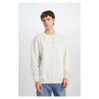 DEFACTO Men's Boxy Fit Crew Neck Printed Sweatshirt