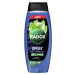 Radox sprchový gel pro muže Sport 450 ml