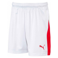 Puma LIGA SHORTS WITH BRIEF Chlapecké fotbalové šortky, bílá, velikost