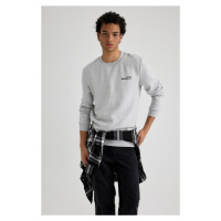 DEFACTO Slim Fit Crew Neck Printed Sweatshirt