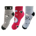 Dívčí kotníkové ponožky Looken ZTY-7456, mix barev Barva: Mix barev