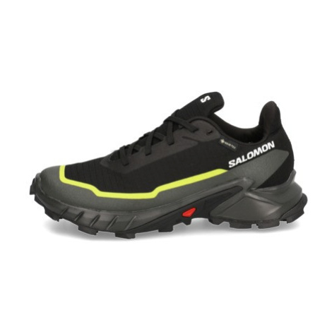 Salomon ALPHACROSS 5 GTX