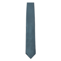 Tyto Saténová kravata TT901 Grey