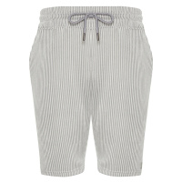 Trendyol Gray Striped Regular/Normal Fit Shorts